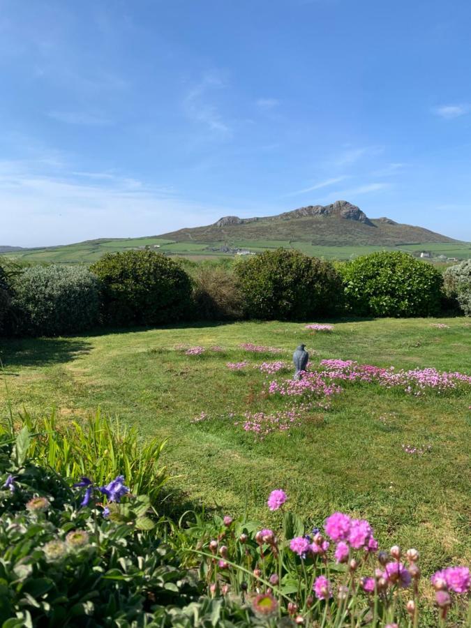 Craig-Y-Mor Suites With Sea Views Whitesands St Davids Exterior foto